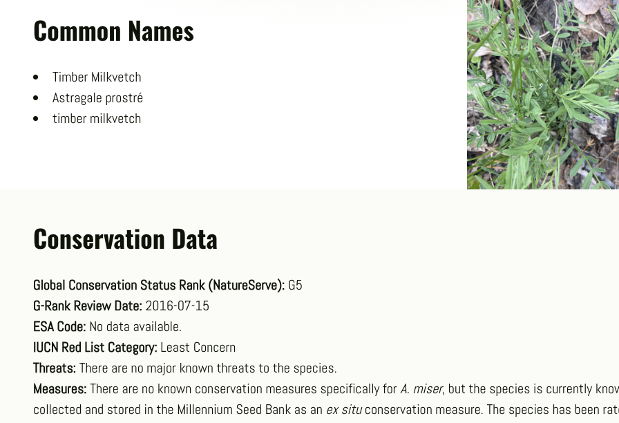 Single species page, identifying common names, conservation status, and other data from external sources